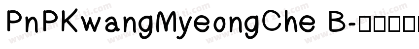 PnPKwangMyeongChe B字体转换